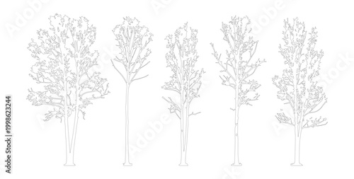 Minimalist tree line art vector set, hand drawn architectural tree sketches, 5 deciduous tree outlines for landscape design and site plans