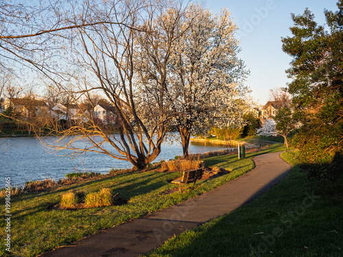 Park bench by the lake at sunset in Ashburn Village