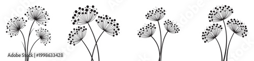 Delicate dandelion seed heads a black and white botanical illustration