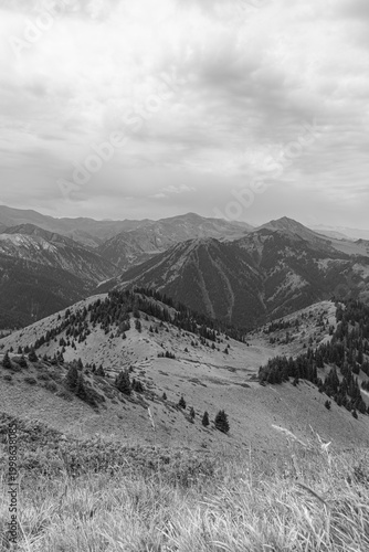 landscape in the mountains