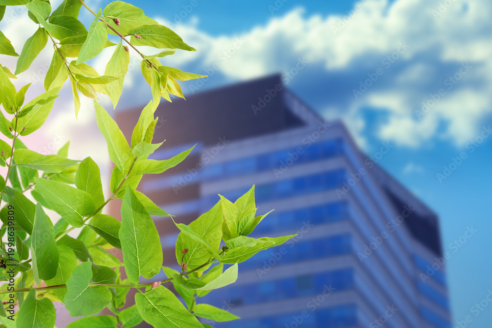 Fototapeta premium Office building and green leaves on sunny day, selective focus