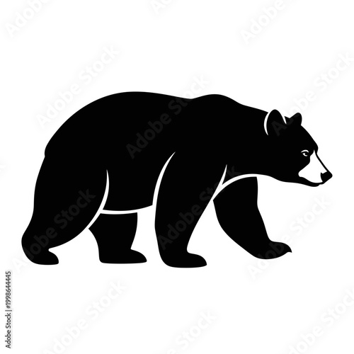 Black bear walking on ground.