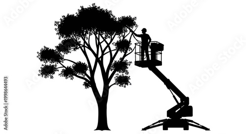 Man working on tree branches.