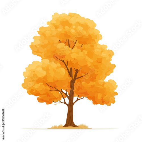 2D minimalist flat vector of a Plane Tree, contemporary clean design isolated on white.