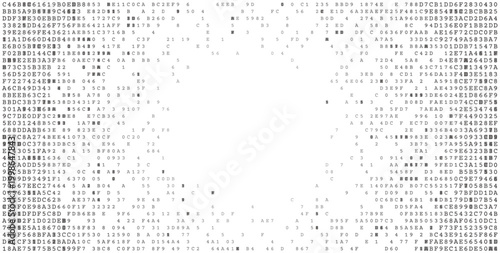 The Binary Void - Fractal Data Distribution and Cybersecurity Perimeter Background