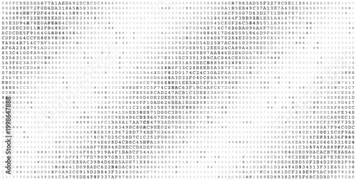 Systemic Data Matrix - Full Frame Binary Code Distribution