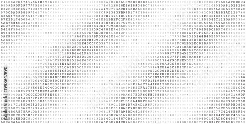 Monolithic Data Field - High Density Binary Code Grid for Enterprise Computing