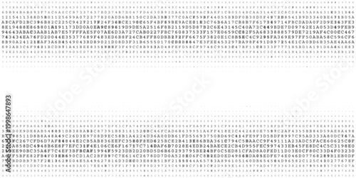 Bimodal Data Stream - Horizontal Parallel Binary Processing Arrays