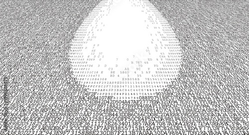 Virtual Peripheral Logic - High-Contrast Binary Frame with Central Negative Space Dispersion. Perspective.