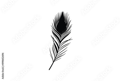 Elegant peacock feather displayed with intricate details a striking silhouette high quality