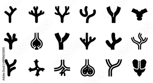 Black vascular system icons, human anatomy symbols, medical signs, circulatory system illustrations, 20 organ graphics