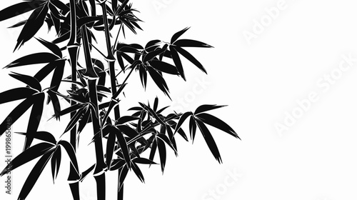 Black and white bamboo illustration against white background for design