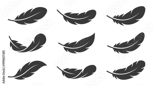 Set of nine different black feather icons and bird plumage silhouettes isolated on white background, concept for minimalist logo creation, luxury branding and editorial layout design