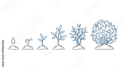 Minimalist line art illustration showing stages of plant growth from seed to a mature lush bush on white background, concept for business development, financial growth and environmental progress