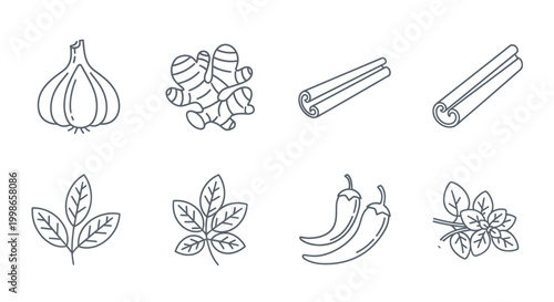 Herbs and Spices Icon Set: Garlic, Ginger, Cinnamon, Chili, Basil