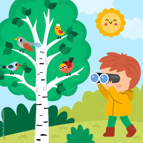 Square cartoon forest explorer background with cute birdwatching kid. Nature woodland landscape with boy watching birds sitting on birch tree. Wildlife scene with cute child, cuckoo, finch, robin