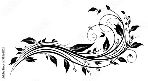 Elegant Black and White Swirling Floral Border Design on Isolated White Background
