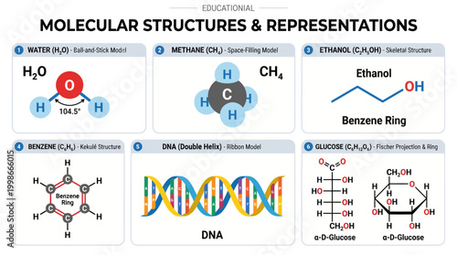 Educational display of diverse molecular structures and scientific representations for learning
