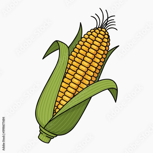 A colorful vector illustration of a single ear of corn.