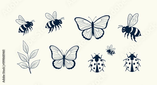 Vintage Hand Drawn Insects Vector Set Featuring Bees Butterflies Ladybugs and a Leafy Branch