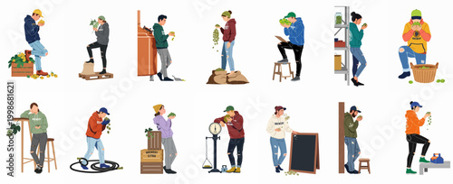 Set of brewery workers illustrations inspecting and processing green hop cones for craft beer production.