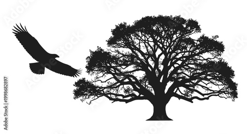 Silhouetted eagle flies towards large, spreading ancient oak tree