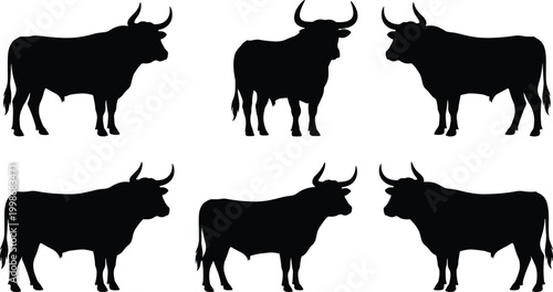Bull silhouettes collection, animal livestock horn posture vector illustration, cattle strength artwork design graphic - black and white flat vector illustration