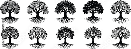 Tree of life silhouettes collection, decorative roots canopy foliage vector illustration, botanical nature artwork design graphic - black and white flat vector illustration