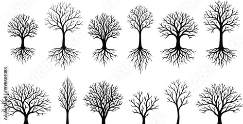 Tree silhouettes with and without roots collection, decorative branching canopy foliage vector illustration, botanical nature artwork design graphic - black and white flat vector illustration