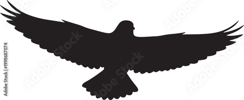 Majestic black silhouette of a bird soaring with wings fully spread