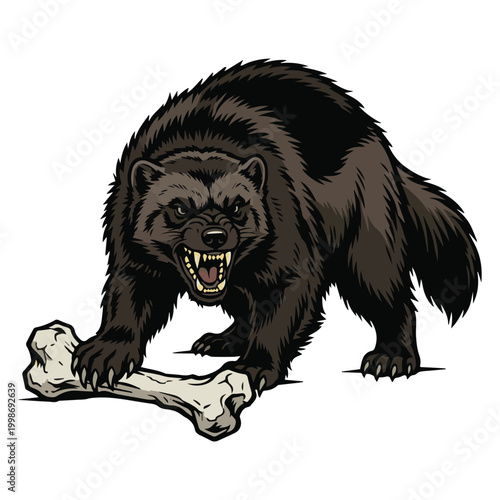Fierce wolverine snarling with a large bone in its mouth, aggressive predator illustration