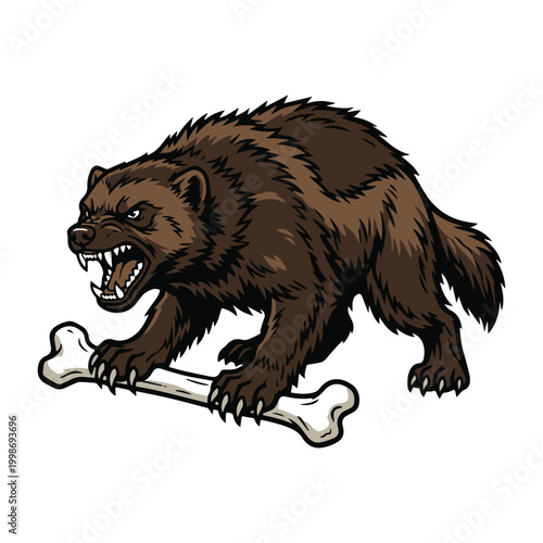 Dynamic illustration of a fierce wolverine mascot snarling with a bone, embodying strength and untamed power, ideal for sports branding, wildlife themes, or bold graphic designs