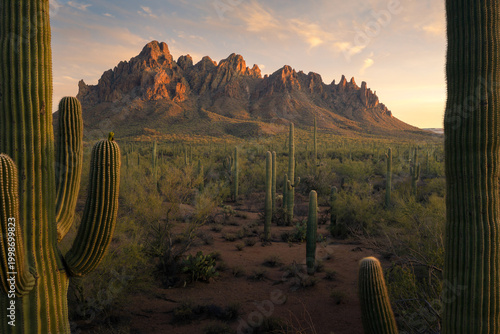 Aerial view of Ironwood Forest National Monument with saguaro cacti and rugged mountain peaks under a golden sunset sky Tucson, Arizona, United States.