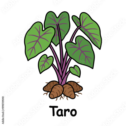Vibrant cartoon illustration of a taro plant with broad green leaves, purple stems, and edible root corms, depicting a tropical staple food