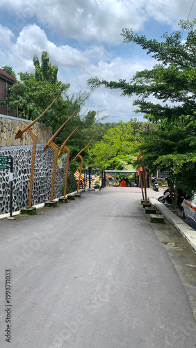 Quiet rural road surrounded by trees and fences in countryside setting