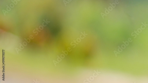 Abstract blurred green background with soft bokeh, perfect for nature backdrop
