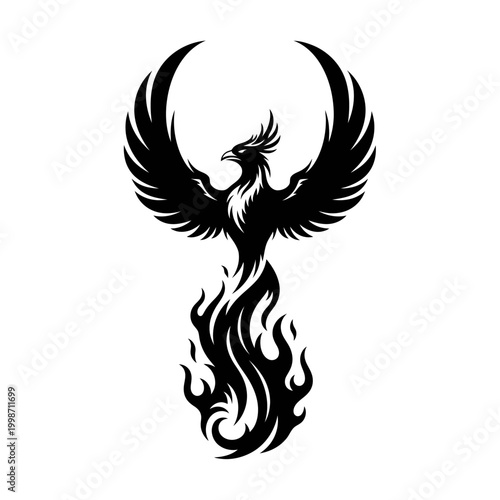 Black phoenix silhouette rising from flames on white background