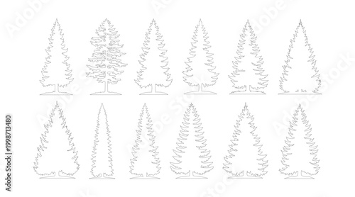 Minimalist pine tree line art collection, set of 12 evergreen conifer vector icons, simple black and white fir and spruce silhouettes for forest landscape design