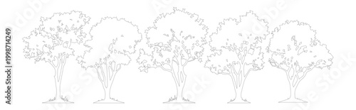 Minimalist tree line sketches, set of 5 deciduous tree vector outlines, architectural landscape plant symbols for site plans and garden design