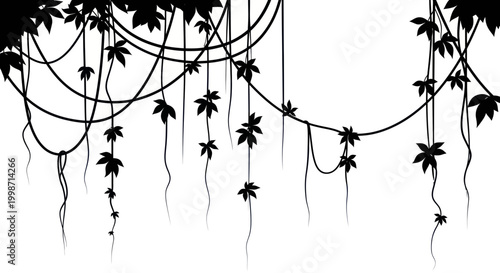 Black silhouette of hanging vines.