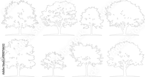 Minimalist tree line art collection, set of 8 deciduous tree vector outlines, simple botanical sketches for architectural site plans and landscape design