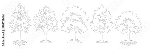 Minimalist tree line art collection, set of 5 deciduous tree vector icons, black and white botanical outline illustrations for landscape design