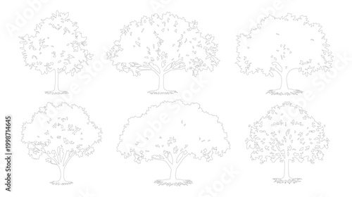 Minimalist tree line art collection, set of 6 deciduous tree vector outlines, simple botanical sketches for landscape design and architectural site plans