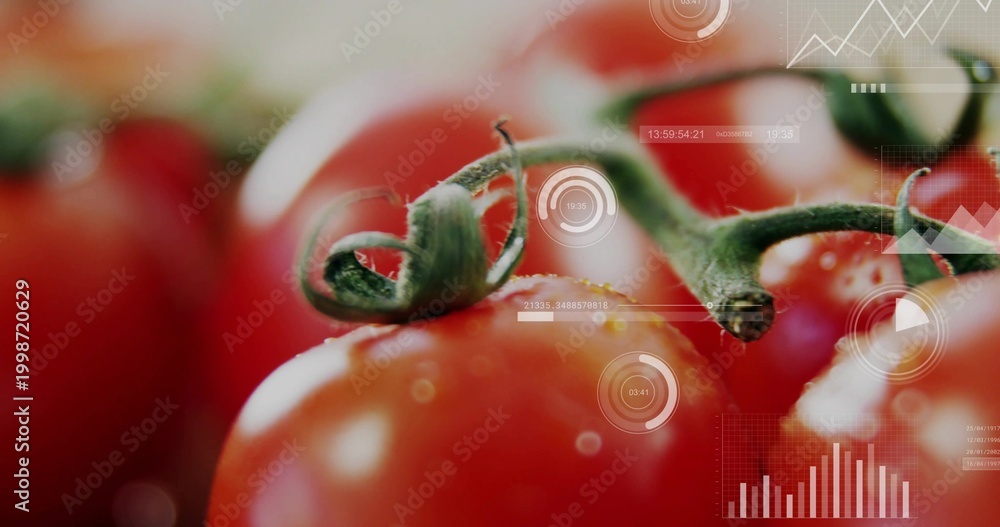 Fototapeta premium Capturing ripe tomato showing curled calyx, water droplets and specular shine at studio, with HUD