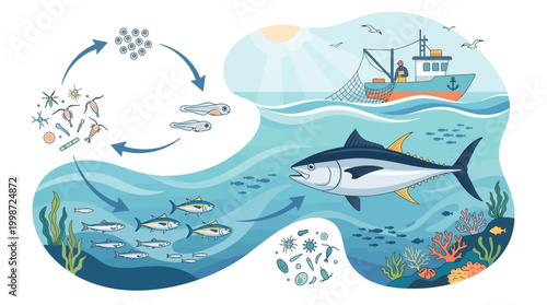 Fisherman fishing tuna on world ocean day with a boat in the sea catching fish