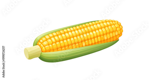 fresh corn on cob, yellow maize vegetable, organic farm produce, healthy fresh corn, natural food ingredient, sweet corn isolated, farm harvest maize, white background corn, nutritious vegetable crop,