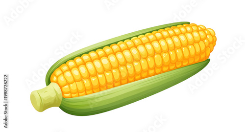 fresh corn on cob, yellow maize vegetable, organic farm produce, healthy fresh corn, natural food ingredient, sweet corn isolated, farm harvest maize, white background corn, nutritious vegetable crop,