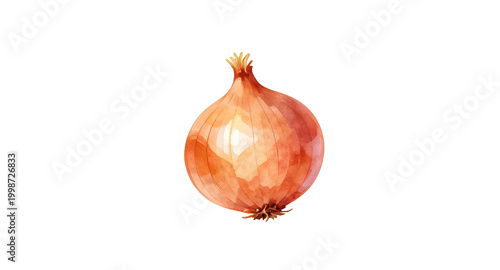 red onion illustration, whole onion vegetable, botanical food artwork, fresh kitchen ingredient, organic onion graphic, culinary design asset, healthy vegetable illustration, farm fresh onion, cooking