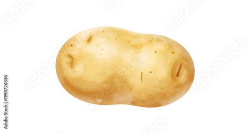 potato illustration isolated, fresh potato vector, brown root vegetable, organic farm produce, raw potato graphic, healthy food clipart, simple potato drawing, natural vegetable artwork, grocery produ