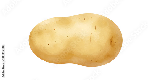 Foto potato, vegetable, food, brown, tuber, fresh, organic, farm, natural, healthy, r